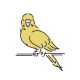 黄色い鳥の画像